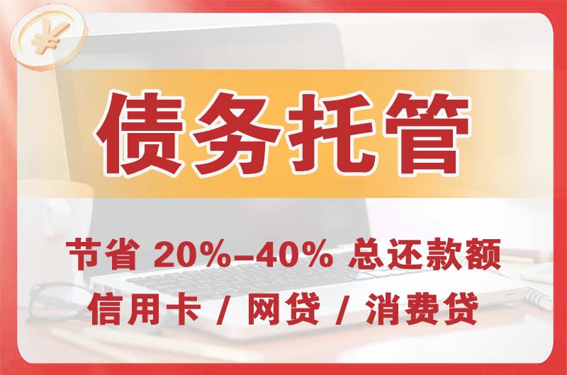 盐田债务托管